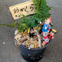 トキワシノブ,ｵｼﾞｿﾞｰﾀﾝ,ｲｼｺﾛﾀﾝ,ありがとう,キューピーの画像