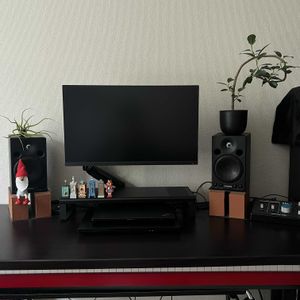 カプトメデューサ,カプトメデューサ,フランスゴムの木,フランスゴムの木,観葉植物の画像