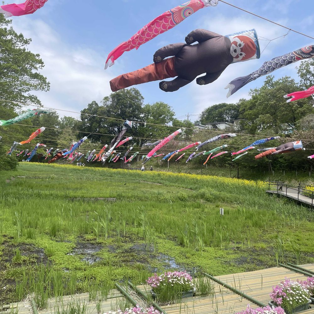 のんきママさんの里山ガーデン（大花壇）への投稿
