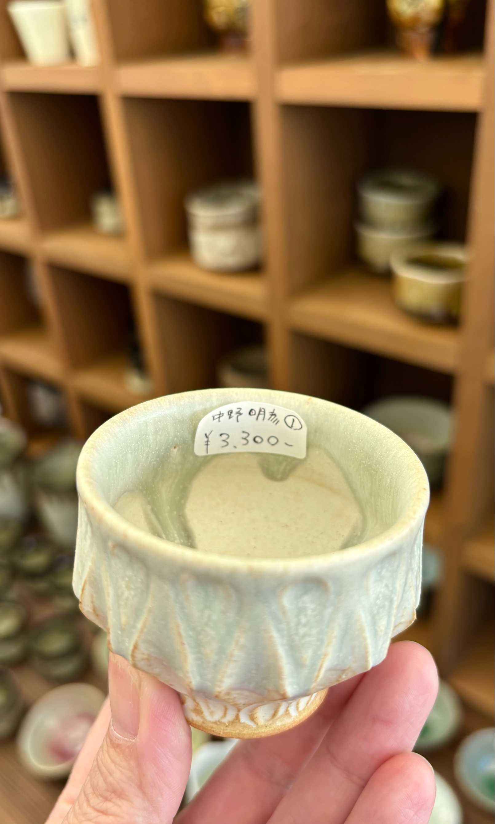 陶炎祭❤️‍🔥2025 あたすの偏愛マップ❤️‍🩹｜🍀GreenSnap（グリーン