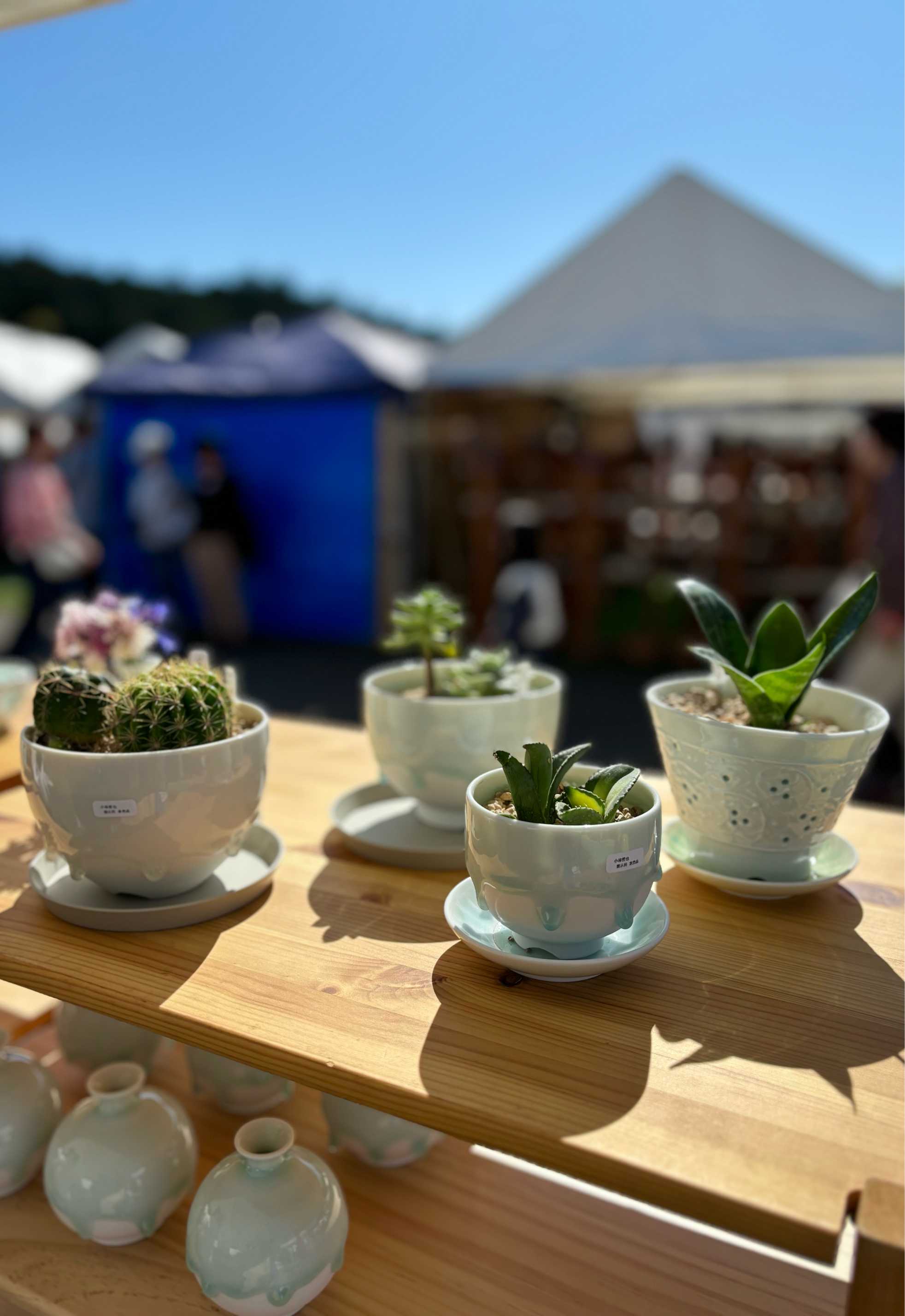 陶炎祭❤️‍🔥2025 あたすの偏愛マップ❤️‍🩹｜🍀GreenSnap（グリーン