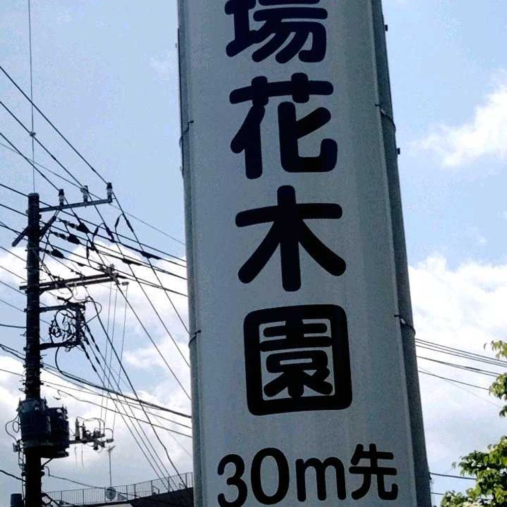 ポンポンのさんの鶴見区への投稿