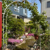 ハナズオウ,モクレン,紅葉,芝桜,金木犀の画像