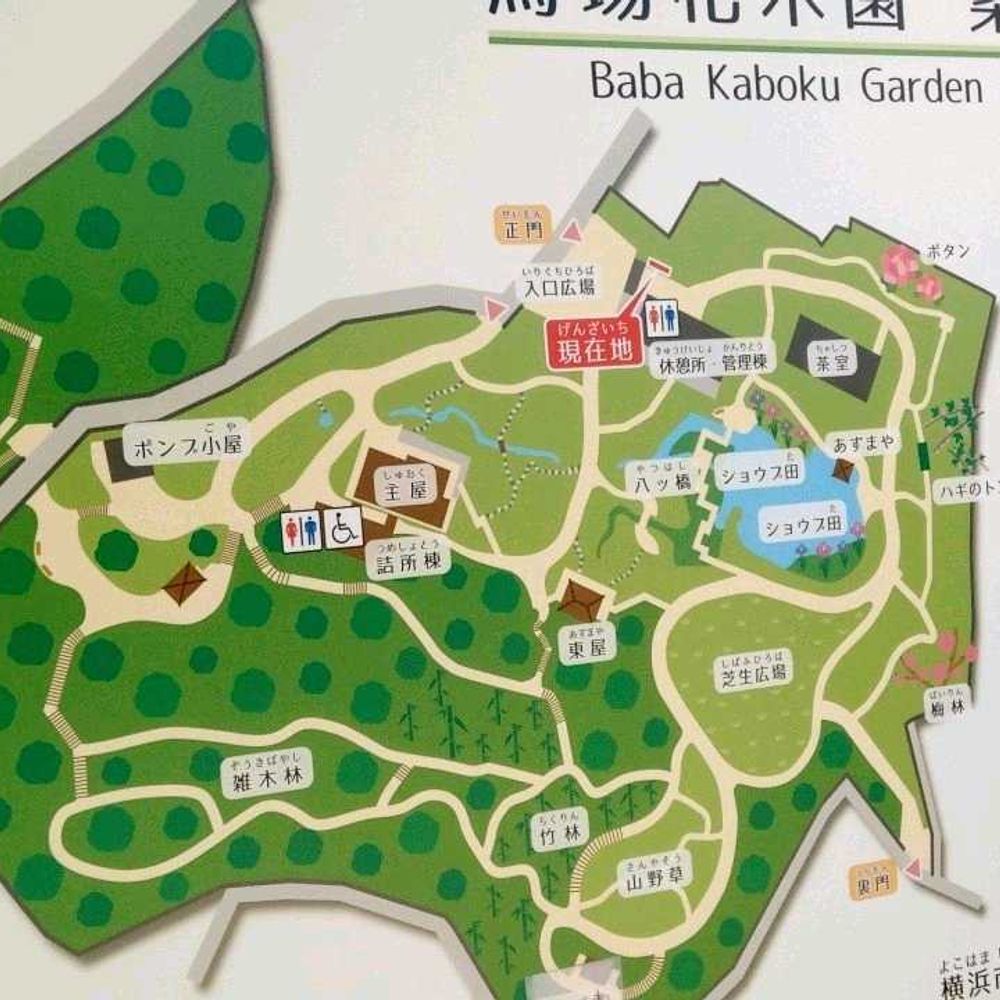 ポンポンのさんの鶴見区への投稿
