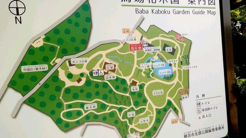 ポンポンのさんの鶴見区への投稿