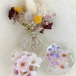 サクラ,札幌,北海道から,さくらんぼの花,バス/トイレの画像