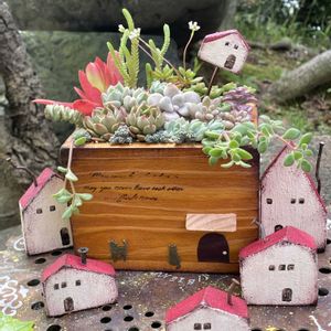 アヤメ,シラン,アガベ・オテロイ,多肉植物,リメ缶の画像
