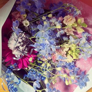パステル,デルフィ二ウム,花束の画像