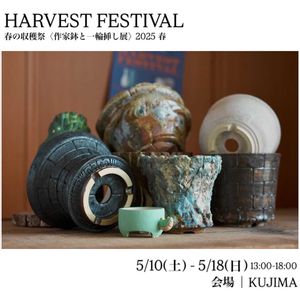 サボテン,ぼくモル鉢,ぼくモル ポタリー,多肉植物,ドライフラワーの画像