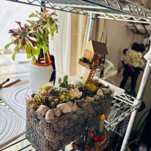 サボテン寄せ植え,ホヤ レツーサ,ホヤ♡,多肉寄せ植え,pukupukuさん作品の画像