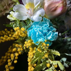 アルストロメリア,カーネーション,チューリップ,ミモザ,花束の画像