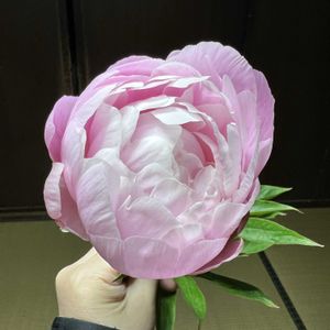 芍薬,芍薬,花束,母の日ギフトの画像