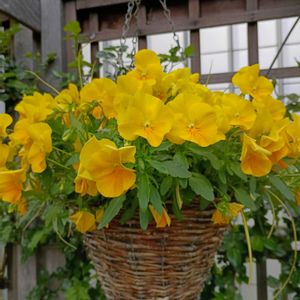 屋上庭園の画像