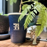 エバーフレッシュ,観葉植物,ハイドロカルチャー,水耕栽培,グリーンのある暮らしの画像
