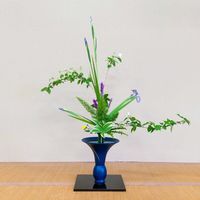 オクラレルカ,ナルコユリ,バイカウツギ,リアトリス,タマシダの画像