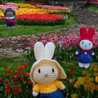 チューリップ,昭和記念公園,空を見上げて,しあわせを願って,ミッフィーの画像