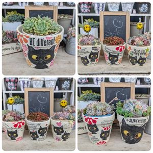 リメ缶,ハンドメイド,リメ鉢,手作り,ステンシルの画像