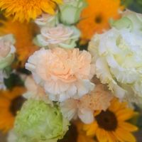 カーネーション,ガーベラ,スパティフィラム,デンドロビウム,バラの画像