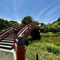 黄菖蒲,日本庭園,咲いてくれてありがとう❤,被災地にエールを…。,金沢文庫 称名寺の画像