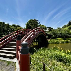 黄菖蒲,日本庭園,咲いてくれてありがとう❤,被災地にエールを…。,金沢文庫 称名寺の画像