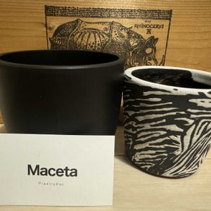 植え替え,マイガーデン,植木鉢,アガベ属,その他エクステリアの画像