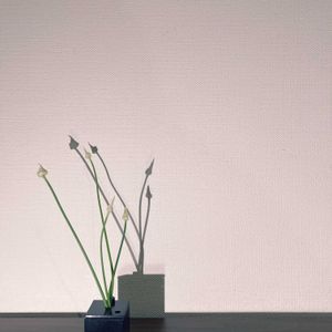 一輪挿し,花瓶,山野草,花のある暮らし,花のある生活の画像