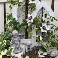 クレマチステッセンの画像