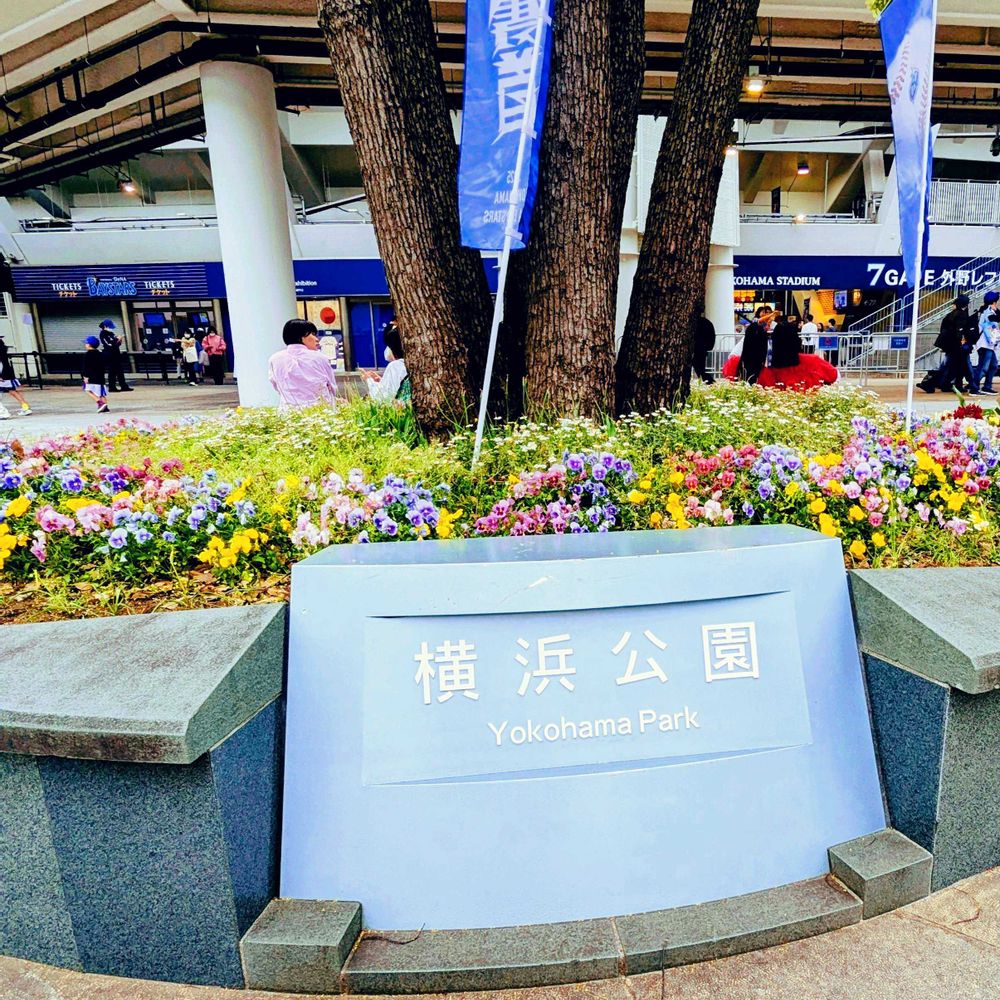 つんくりんさんの横浜公園への投稿