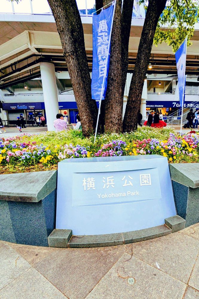 つんくりんさんの横浜公園への投稿