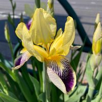 花のある暮らし,G,Sの皆さんに感謝,お出かけ先の画像