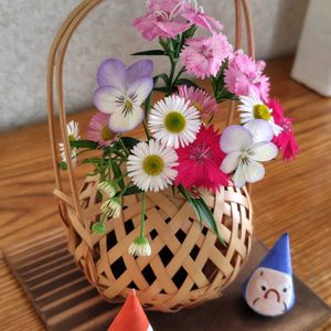 ナデシコ,ビオラ,エリゲロン,花瓶,カゴの画像