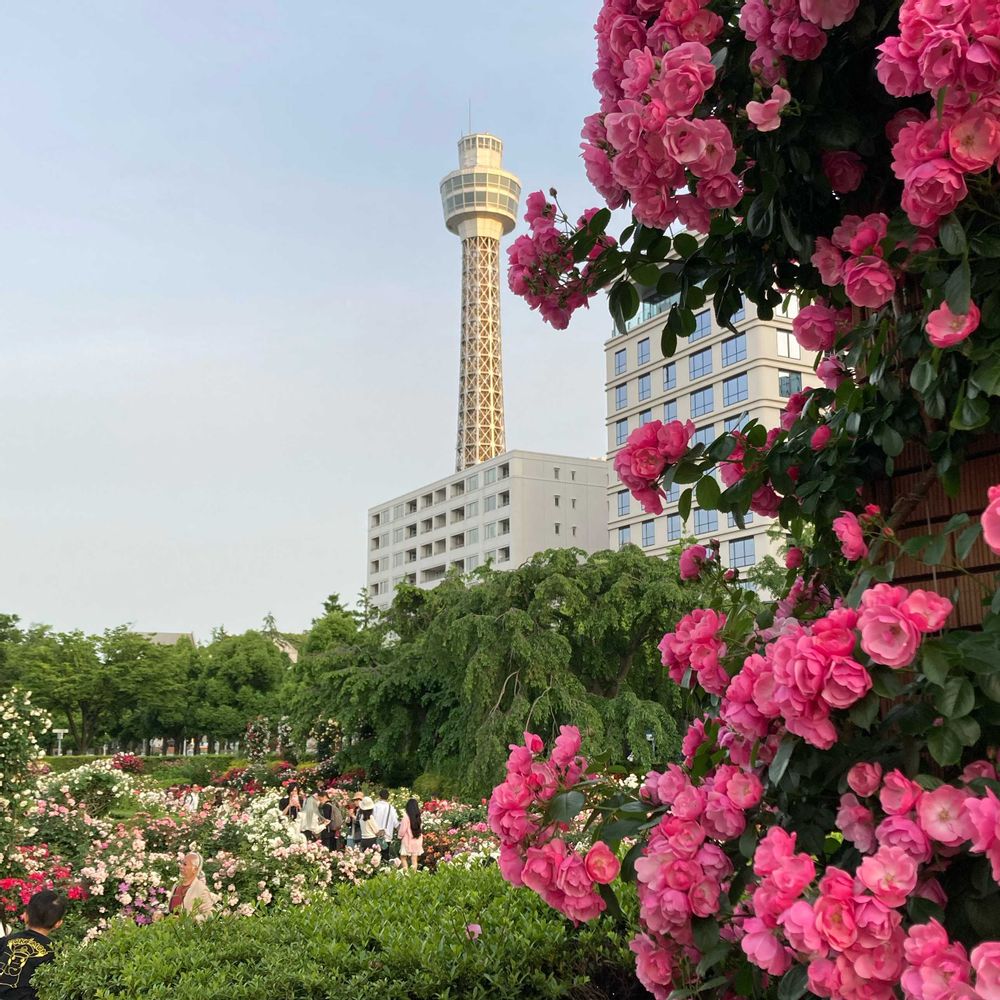 ジェキルさんの山下公園への投稿
