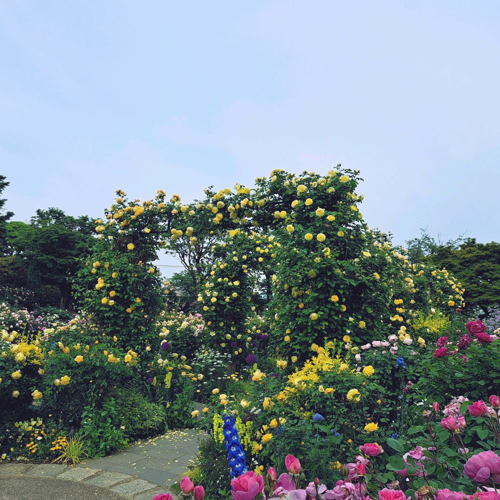 エリィさんの港の見える丘公園への投稿