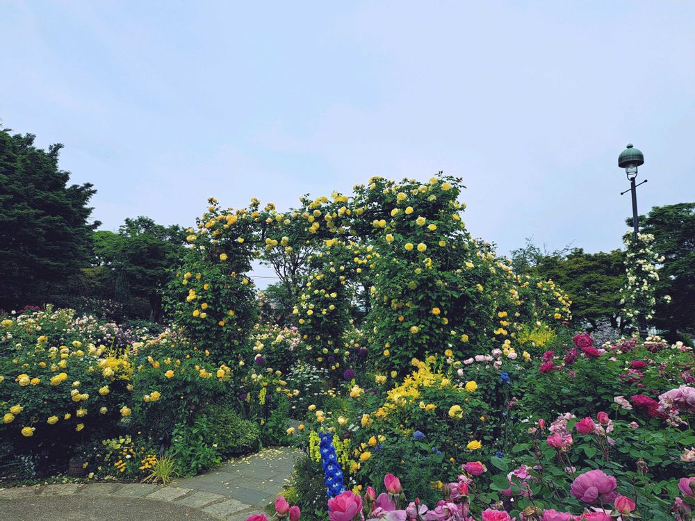 エリィさんの港の見える丘公園への投稿