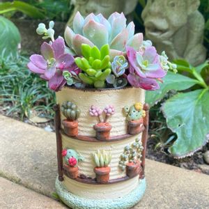 リメイク缶,ハンドメイド,エケベリア属,多肉大好き,寄植えの画像