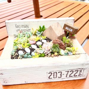 多肉寄せ植え,多肉箱庭,木箱,多肉植物のある暮らし,GSのみなさんに感謝♡の画像
