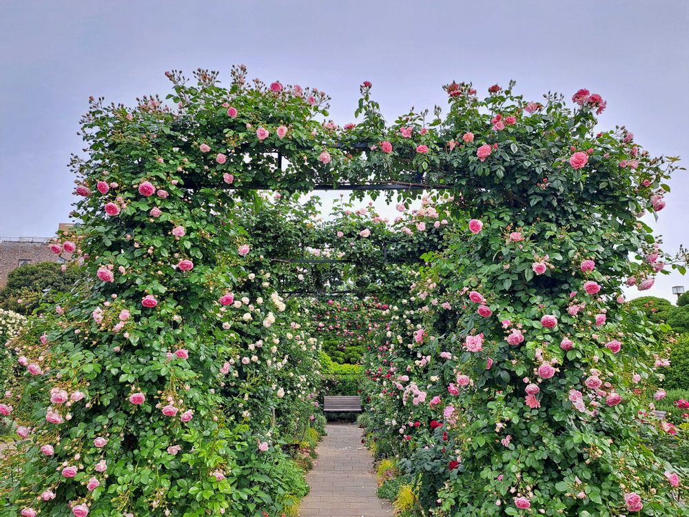 エリィさんの港の見える丘公園への投稿