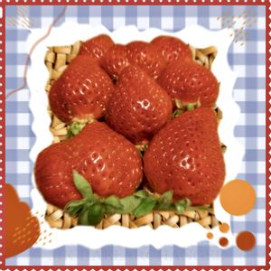 キッチンの画像