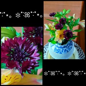 ヤグルマ草,花瓶,花のある暮らし,お友達からの頂き物,アルストロメリア♡の画像