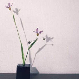 一輪挿し,花瓶,山野草,花のある暮らし,花のある生活の画像