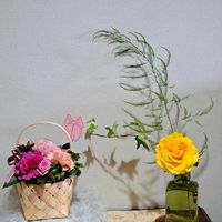 カーネーション,バラ,アイビー,アスパラ,アスパラの画像