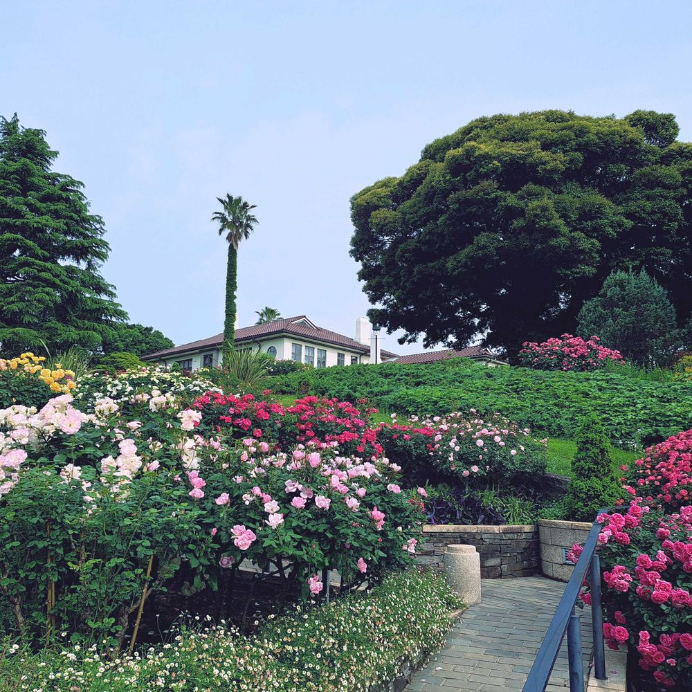 エリィさんの港の見える丘公園への投稿