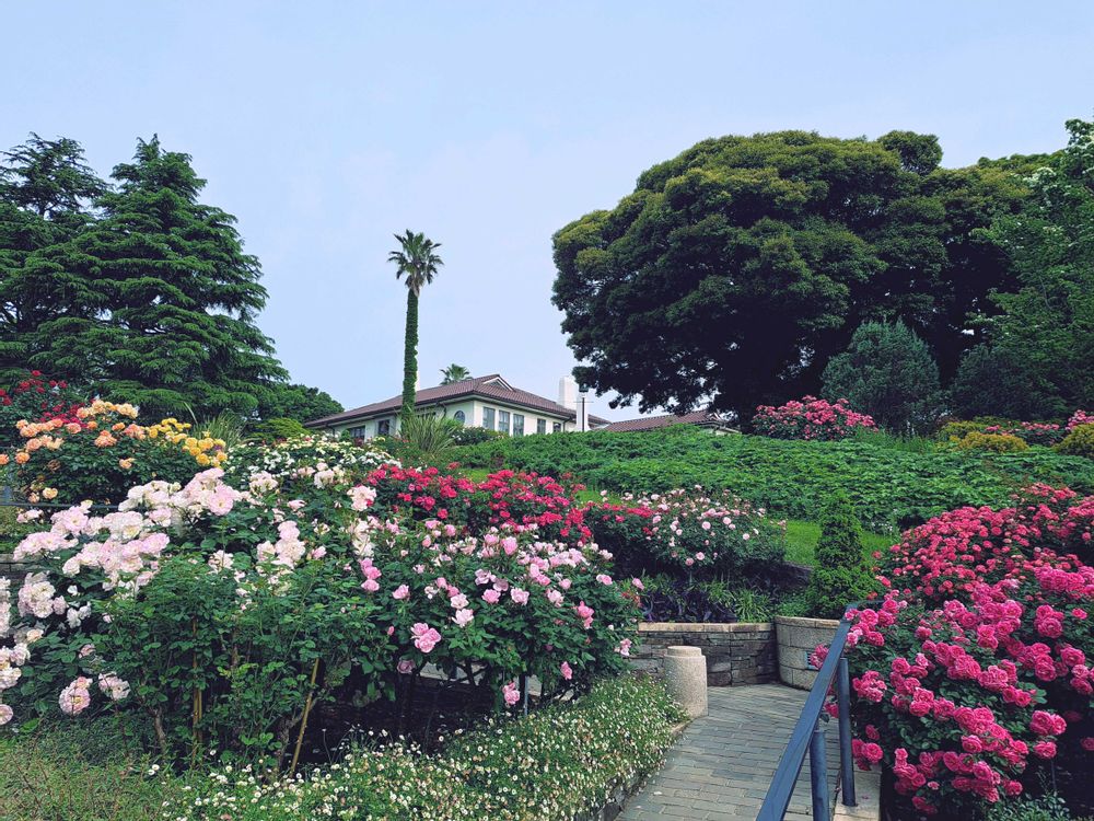 エリィさんの港の見える丘公園への投稿