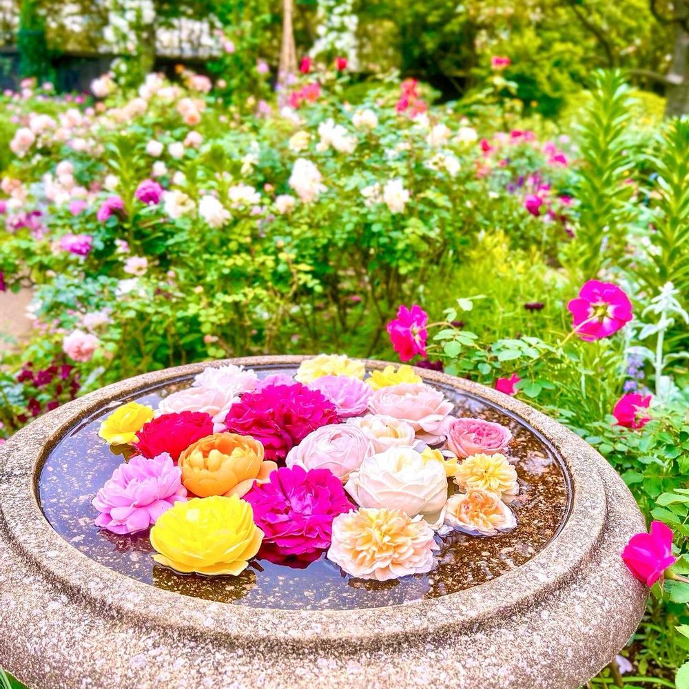 mintさんの港の見える丘公園への投稿