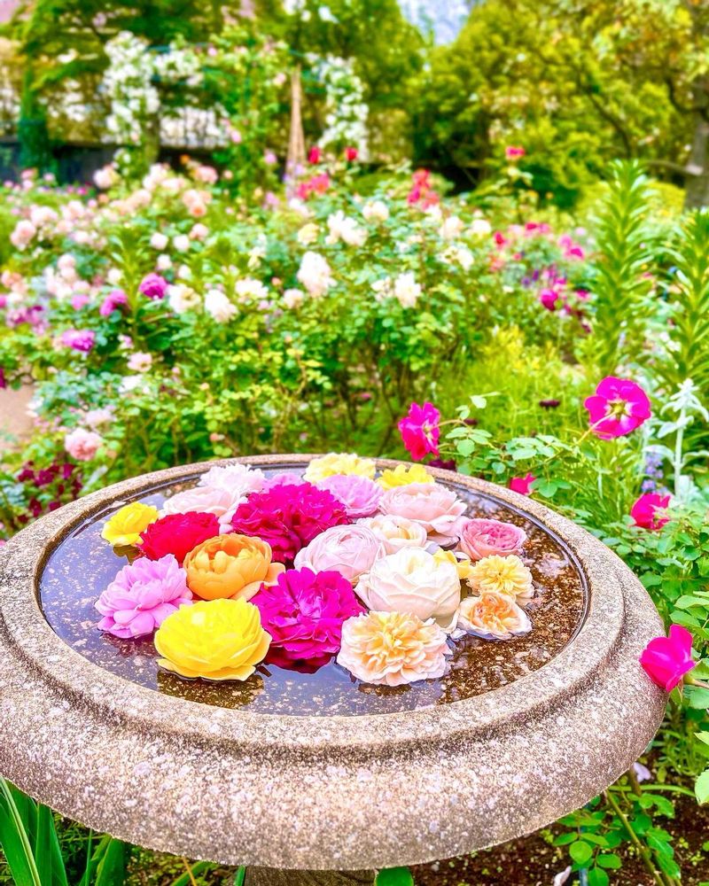 mintさんの港の見える丘公園への投稿
