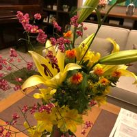 ベニバナ,今日のお花の画像