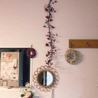 サンキライ,花のある暮らし,緑のある暮らし,サンキライの実,ドライフラワーのある暮らしの画像