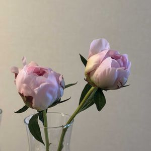 シャクヤク,切り花,お花屋さん,花のある暮らし,ガラスの花瓶の画像