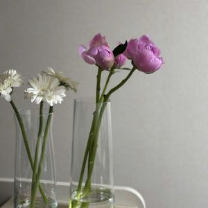 シャクヤク,シャクヤク,切り花,お花屋さん,花のある暮らしの画像