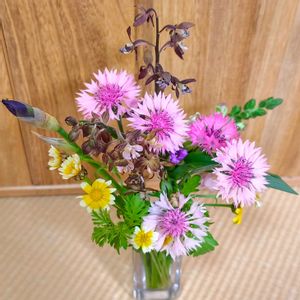 切り花,花束,生花,季節の花,花のある暮らしの画像